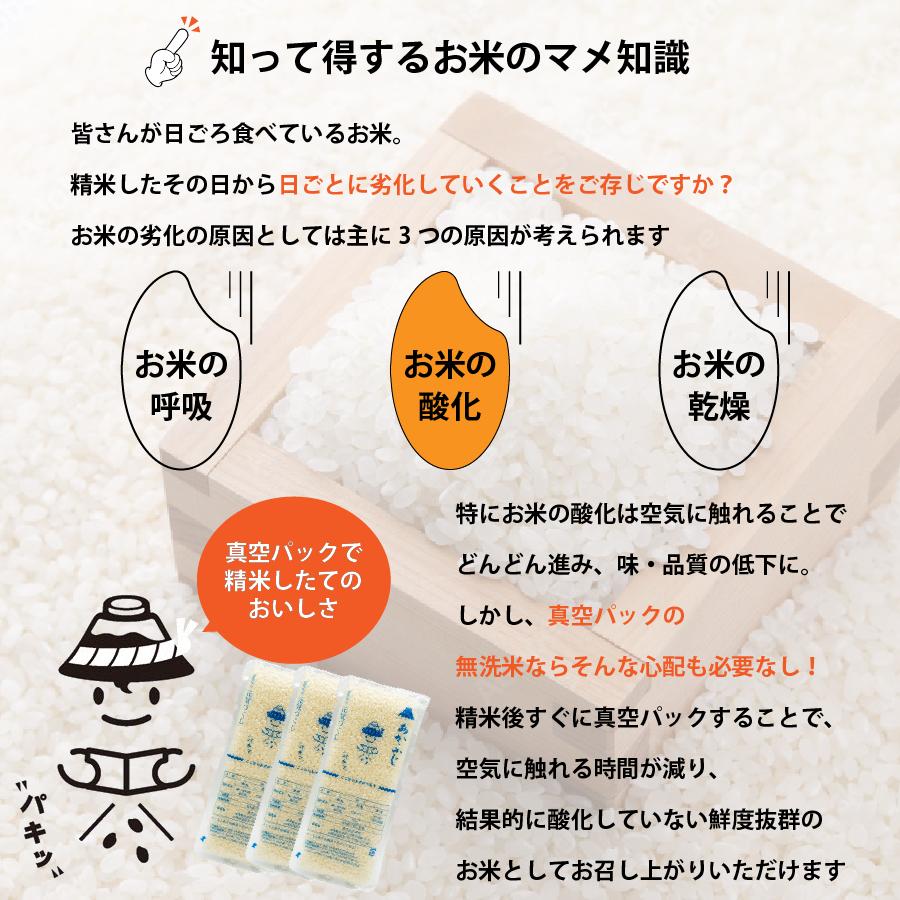 お米 元気つくし 計9kg 1500g(150g×10)×6袋 令和3年産 あかふじ ぱきっと今日のごはん 福岡県産｜san-ai-store｜04