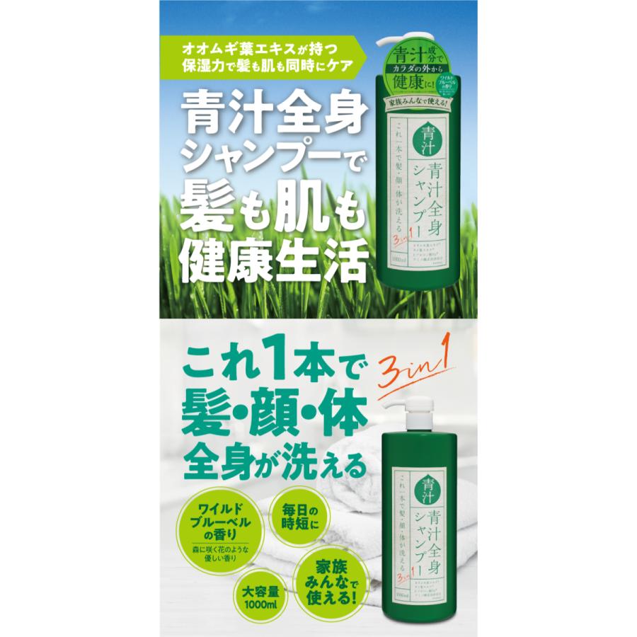 3in1青汁全身シャンプーI 1L IT-2108-01 1本 : サンアイストア - 通販