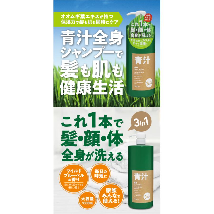 全身洗える3in1青汁全身シャンプーK 1L IT-2108-02 日本製 : サンアイ
