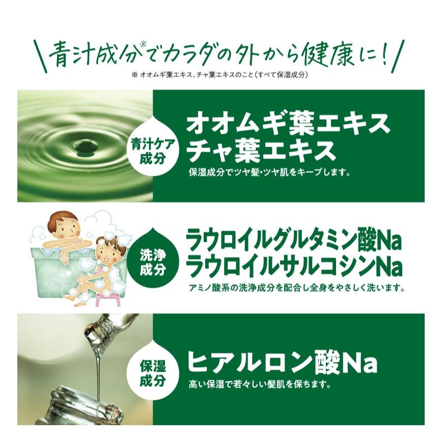 全身洗える3in1青汁全身シャンプーK 1L IT-2108-02 日本製 : サンアイ