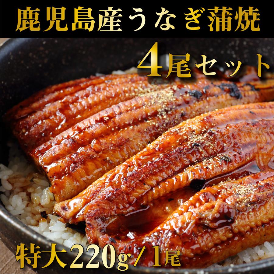 鹿児島産鰻蒲焼 有頭 4尾セット 1尾あたり220g前後 国産うなぎ
