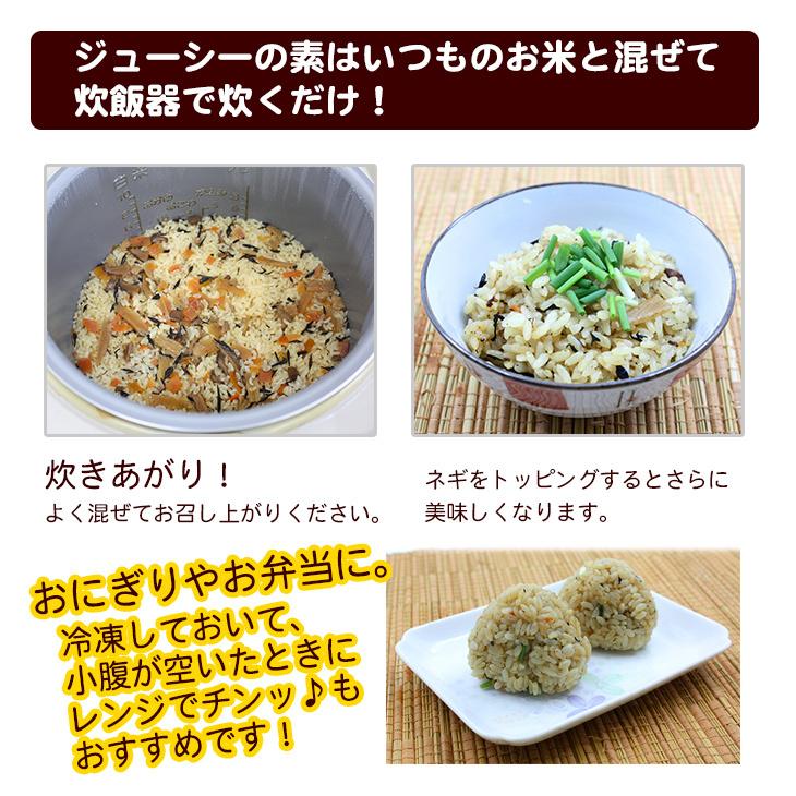 サン食品（Sun Foods） ジューシーの素 180g×3個セット（送料無料