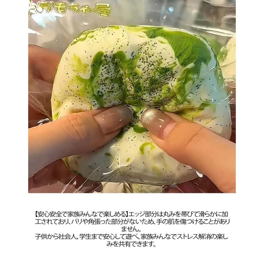 濃厚抹茶ケーキ 水感スクイーズ スクイーズ ぷにぷに メロジョイ