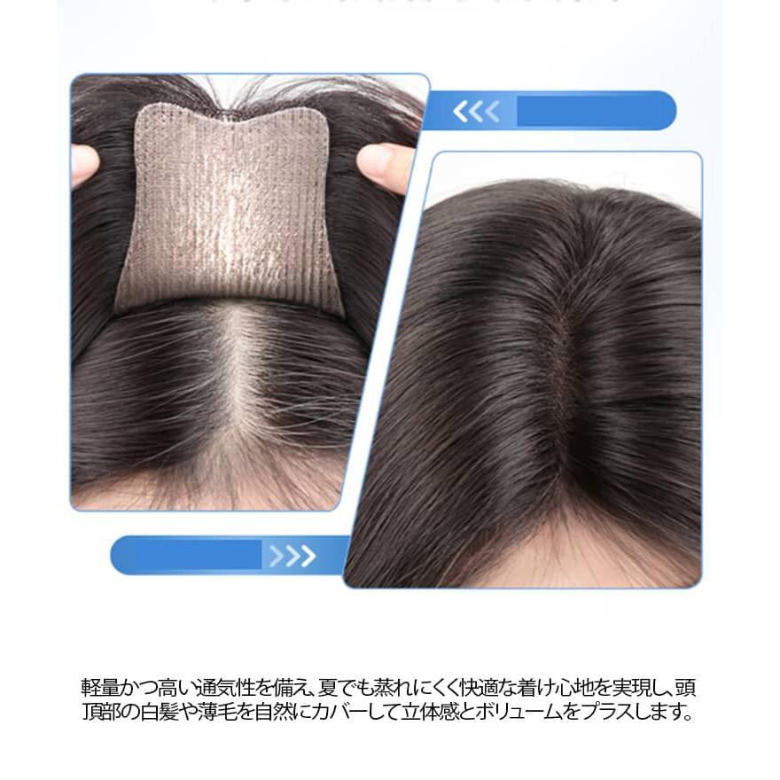 ピンなし ウィッグ 部分ウイッグ ピン無し トップヘアピース 頭頂部