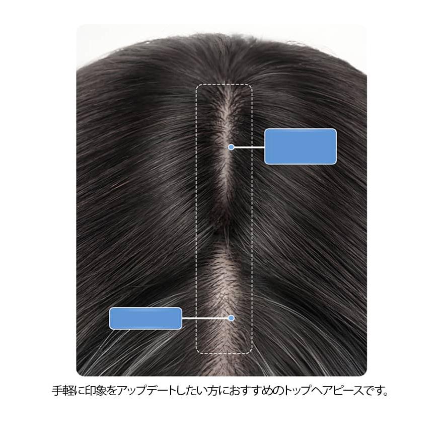 ピンなし ウィッグ 部分ウイッグ ピン無し トップヘアピース 頭頂部