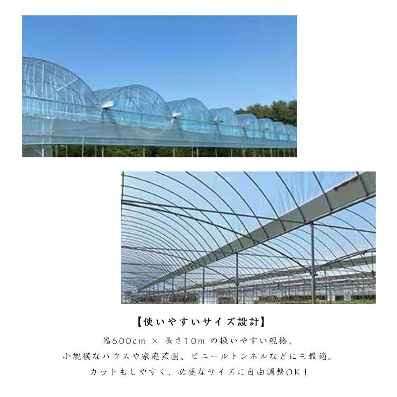 POフィルム 農業用ビニール 厚さ0.1mm×幅6m×長さ10m ビニールハウス用
