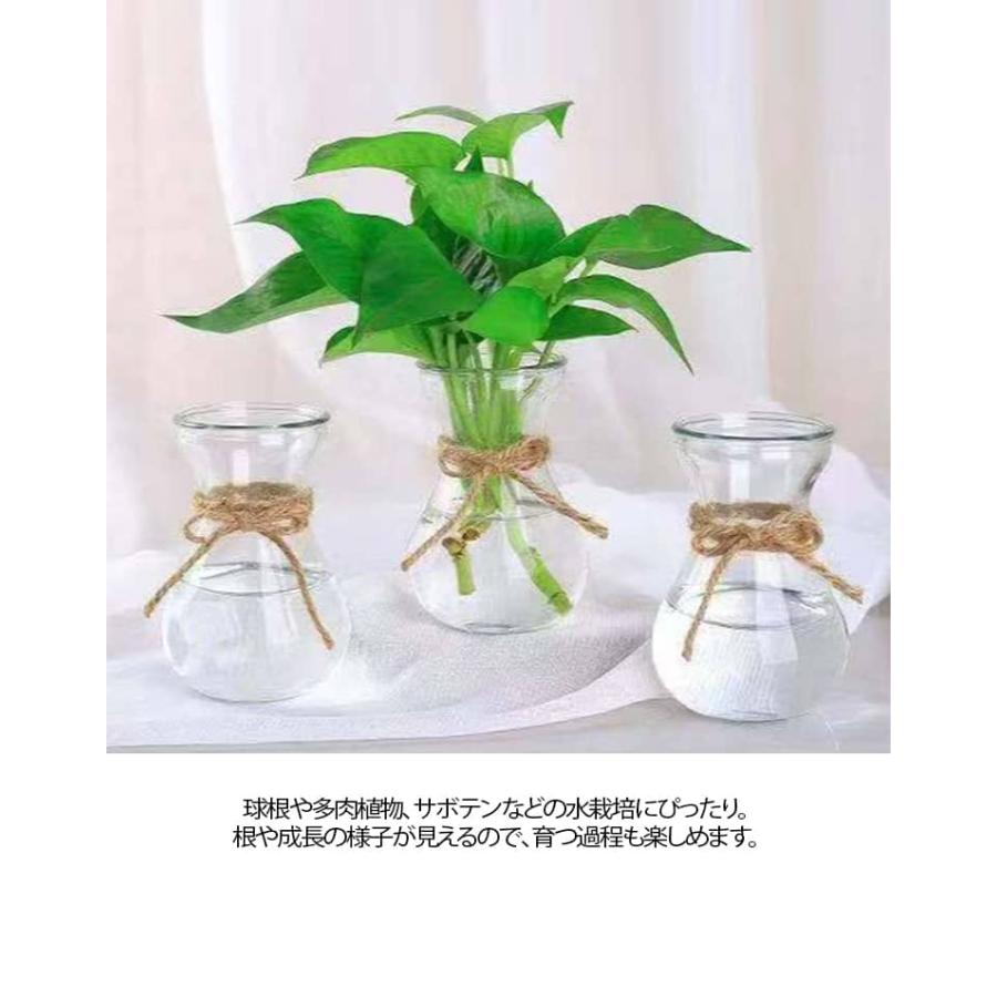 2個セット 水栽培 容器 球根 グロウベース フラワーベース 花瓶 ガラス