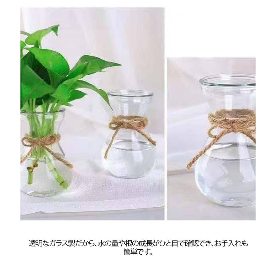 2個セット 水栽培 容器 球根 グロウベース フラワーベース 花瓶 ガラス