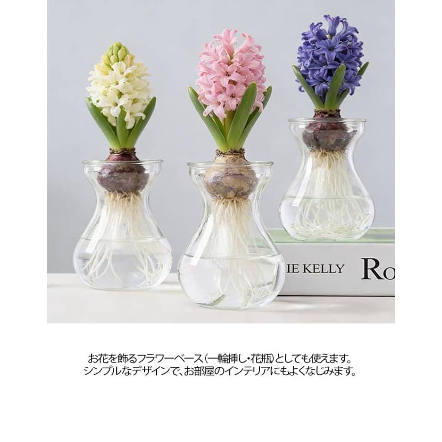 2個セット 水栽培 容器 球根 グロウベース フラワーベース 花瓶 ガラス