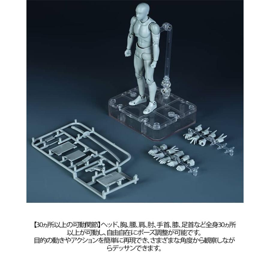 デッサン人形 15cm 30箇所関節可動 漫画 モデル フィギュア デッサン