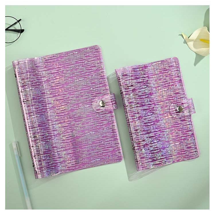 シール帳 バインダー A5 A6 シール はがせる シールバインダー 台紙 6