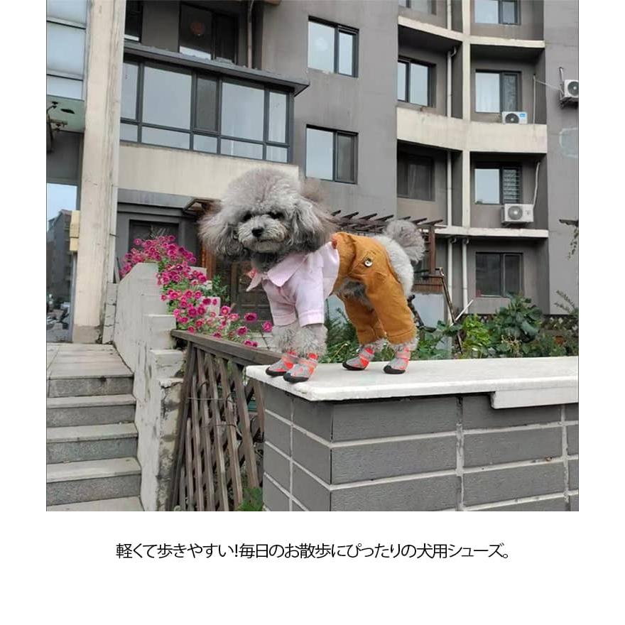 犬 靴 犬靴 犬用シューズ 4点セット ドッグシューズ メッシュ 夏用