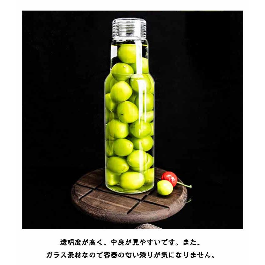2個セット】 果実酒 瓶 ガラス 500ml 750ml 1000ml 梅酒瓶 果実酒瓶