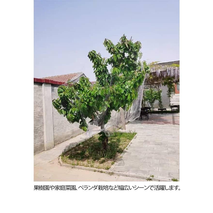 防鳥ネット 5m 6m 7m 8m 9m 果樹 すっぽり 園芸 保護ネット 防鳥網