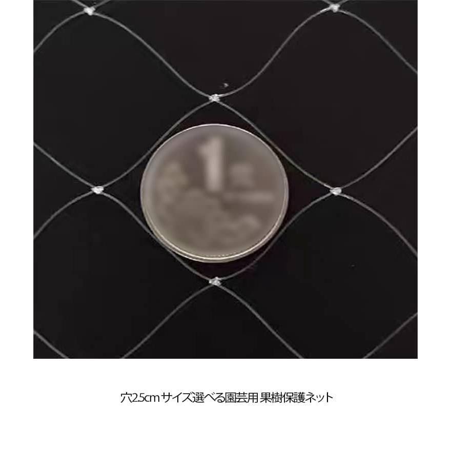 防鳥ネット 5m 6m 7m 8m 9m 果樹 すっぽり 園芸 保護ネット 防鳥網