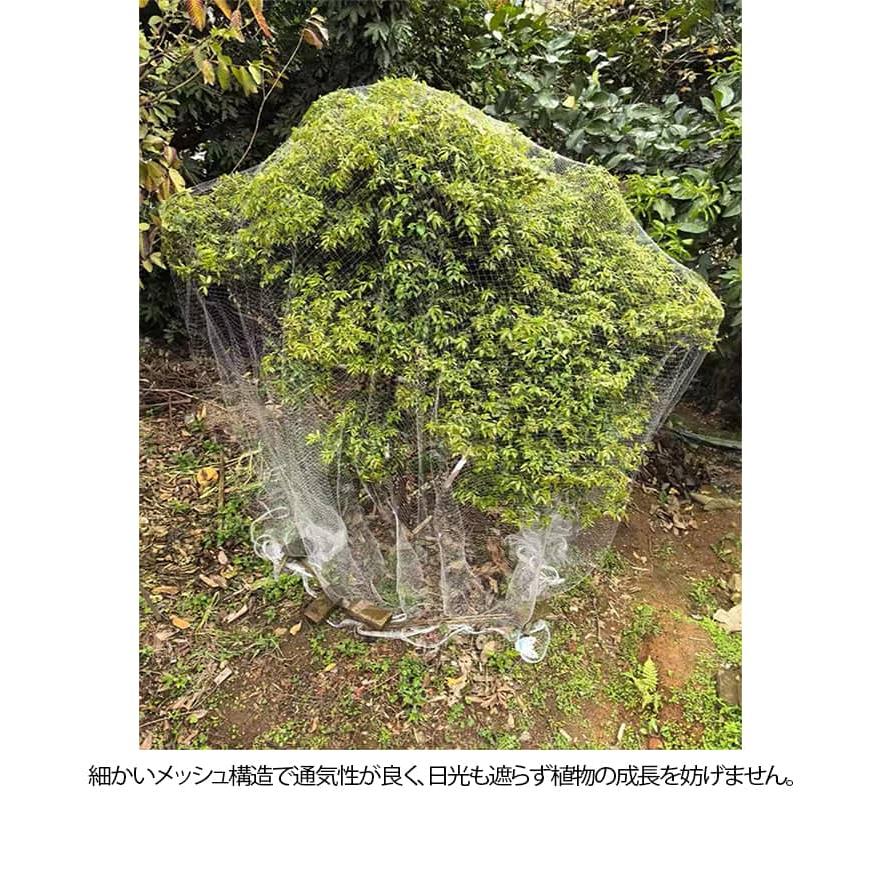防鳥ネット 5m 6m 7m 8m 9m 果樹 すっぽり 園芸 保護ネット 防鳥網