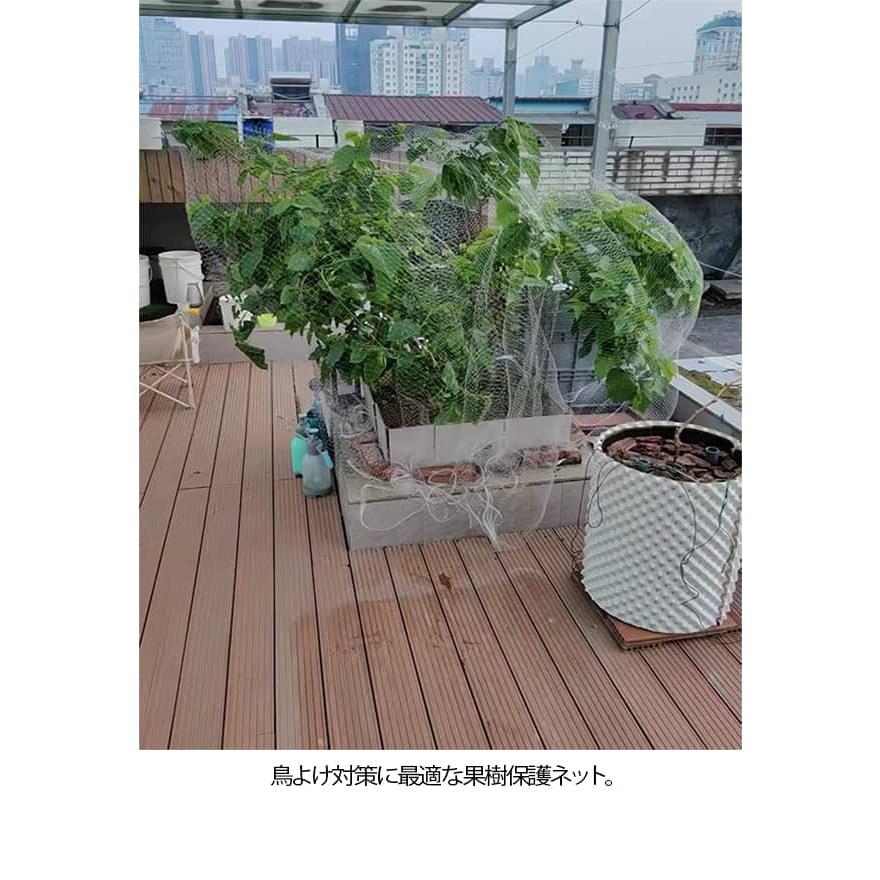 ネット　６ｍ×５ｍ 防鳥ネット 5m 6m 7m 8m 9m 果樹 すっぽり 園芸 保護ネット 防鳥網