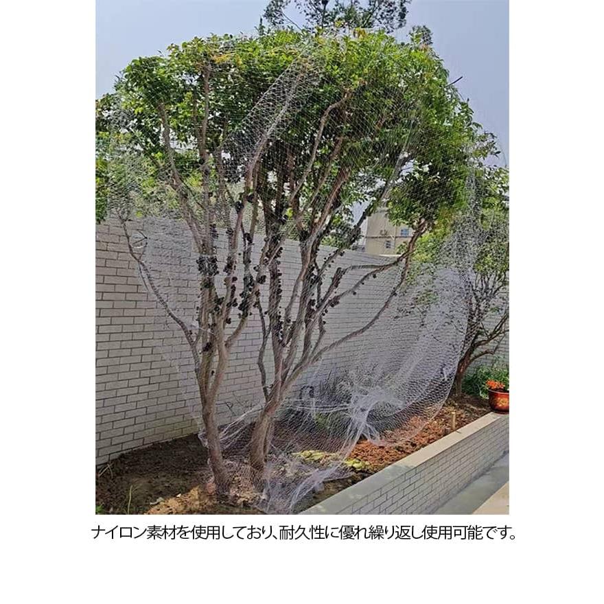 防鳥ネット 5m 6m 7m 8m 9m 果樹 すっぽり 園芸 保護ネット 防鳥網