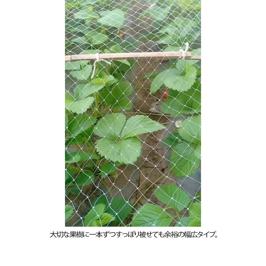 防鳥ネット 5m 6m 7m 8m 9m 果樹 すっぽり 園芸 保護ネット 防鳥網