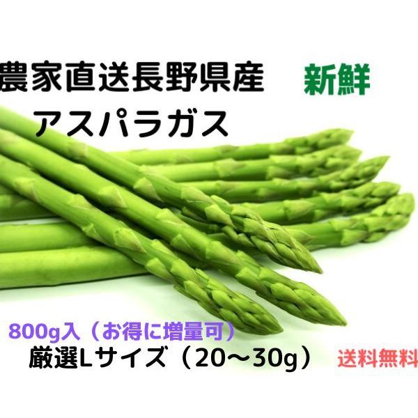 長野県産 アスパラガス　極上 Ｌサイズ 800ｇ　（Yahoo!・真田たろう商店）