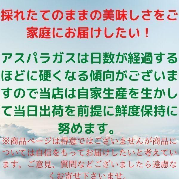 長野県産 アスパラガス  極上極太 2L以上 800g｜sanada-tarou｜06