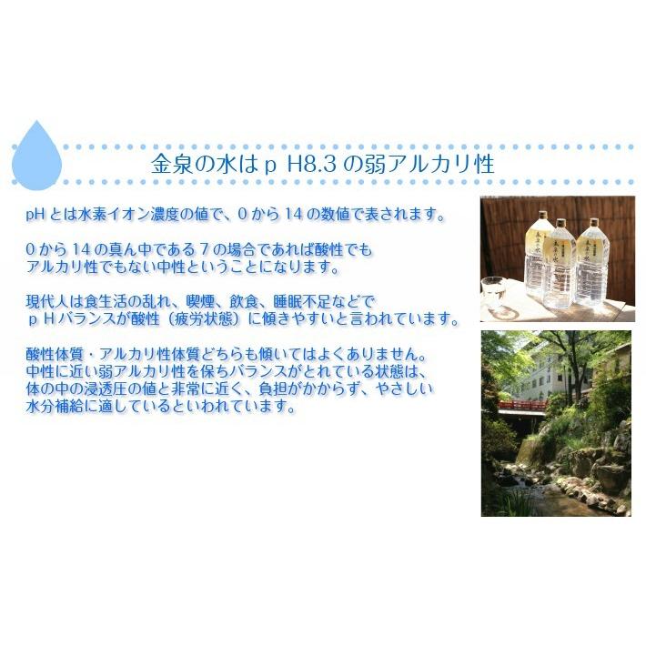 金泉の水 猿投温泉 飲める天然温泉水【2ケース単位送料値引！】 500mlペットボトル×24本 |  | 02