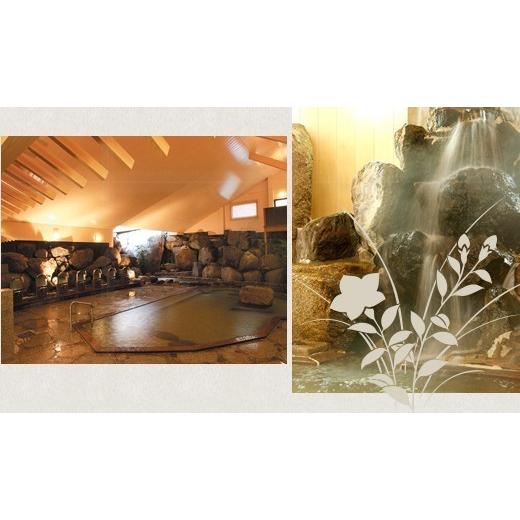 3ヶ月間　定期購入コース3,000円お得　金泉の水　猿投温泉　 飲める天然温泉水 500ml 24本×2ケース　 |  | 10