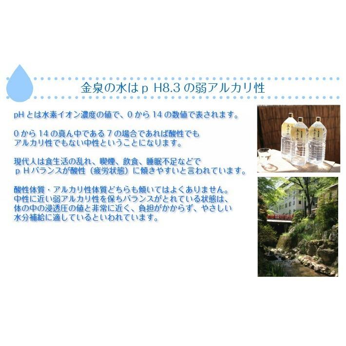 金泉の水 猿投温泉 飲める天然温泉水 【2ケース単位送料値引！】２Lボトル×６本 |  | 03