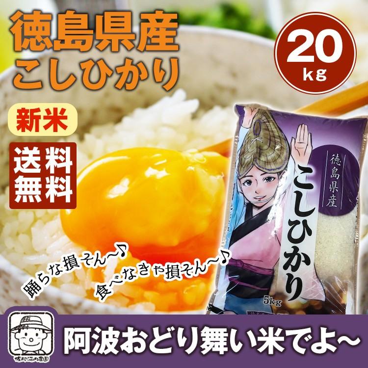 令和6年度 徳島県産 新米 あきさかり 玄米20キロ 送料込