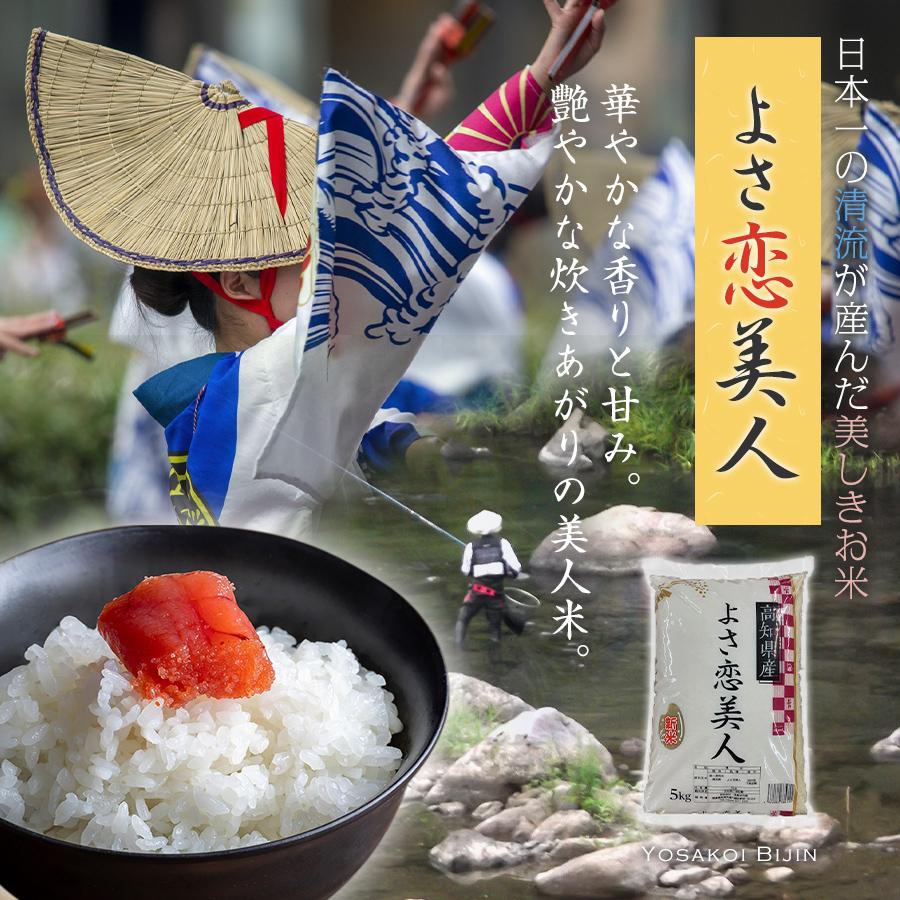 令和8年産 新米 新品種 高知県産よさ恋美人 10kg (5kgx2) 送料無料