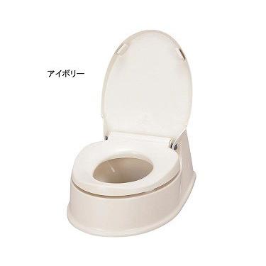 アロン化成 サニタリエース HG両用式 534-113 534-114 簡易設置型洋式