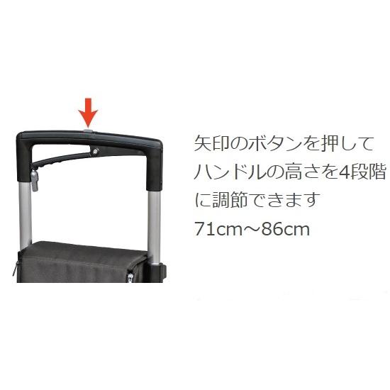 須恵廣工業 ウォーキングキャリー アイカートボンベ 855 左右両用