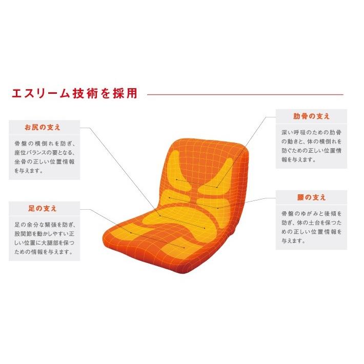 ピーエーエス 学校用モールドシート 姿勢保持 座位保持 新品未使用 オリジナル商品 【株式会社ピーエーエス】