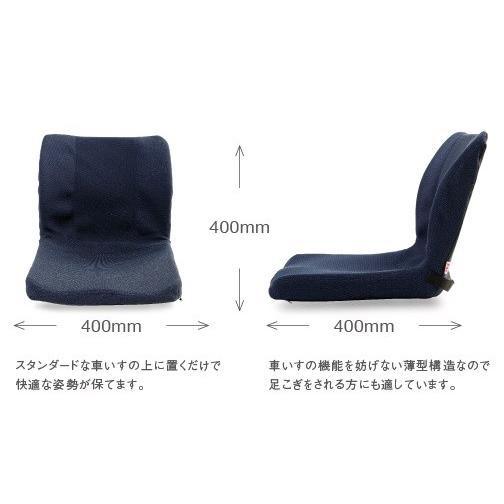 ピーエーエス) モールドシート 車椅子 クッション 背もたれ 背中 薄型