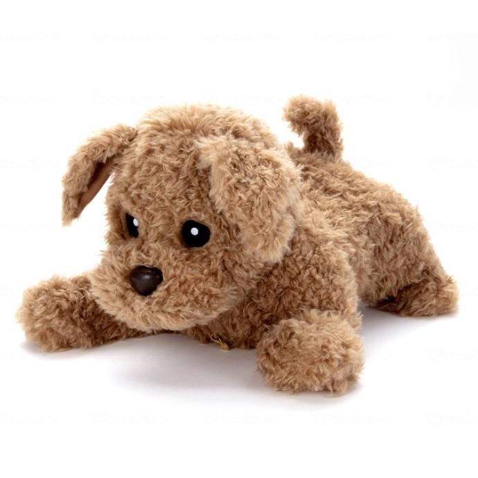 AIロボット　タカラトミー　ダッキースター タカラトミー (タカラトミーアーツ) もっとおりこうダッキー