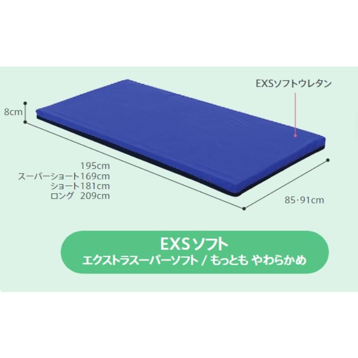 フランスベッド（FRANCEBED） ダブルソフト DS-80 リバーシブル