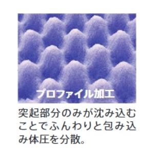 フランスベッド (フランスベッド) ダブルソフト DS-80 フランスベッド (フランスベッド) ダブルソフト DS-80