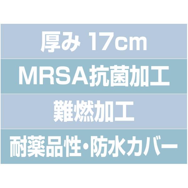 パラマウントベッド (個人様向け限定商品) (パラマウントベッド パラマウントベッド (個人様向け限定商品) (パラマウントベッド