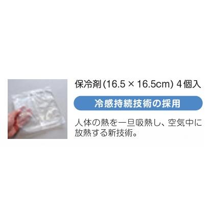 ひんやり背もたれシート　保冷剤 4個付　車いす用 特殊衣料) ひんやり背もたれシート 4060 保冷剤4個入り 車椅子用