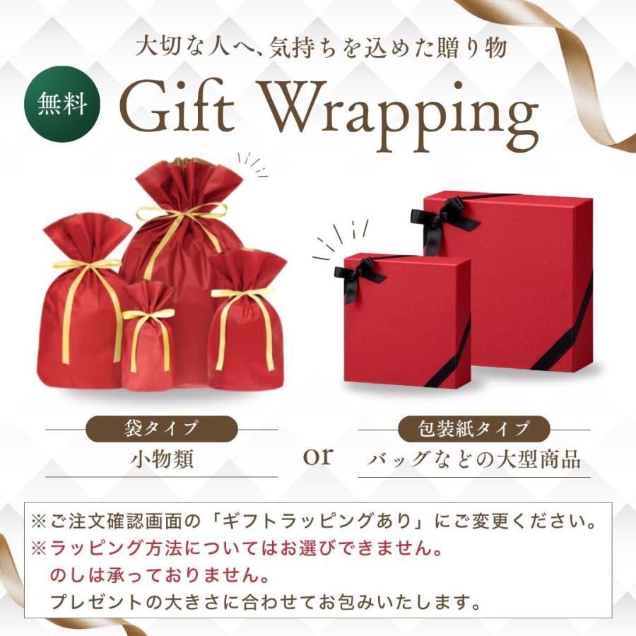 SWANY（スワニー） スワニーキャリーバッグ 高齢者 買い物カート 4輪