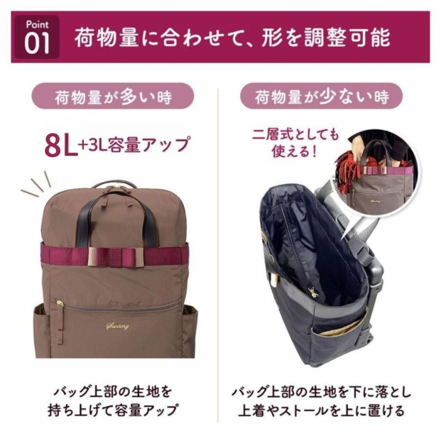 SWANY（スワニー） スワニーキャリーバッグ 高齢者 D-675ルバンド TS18