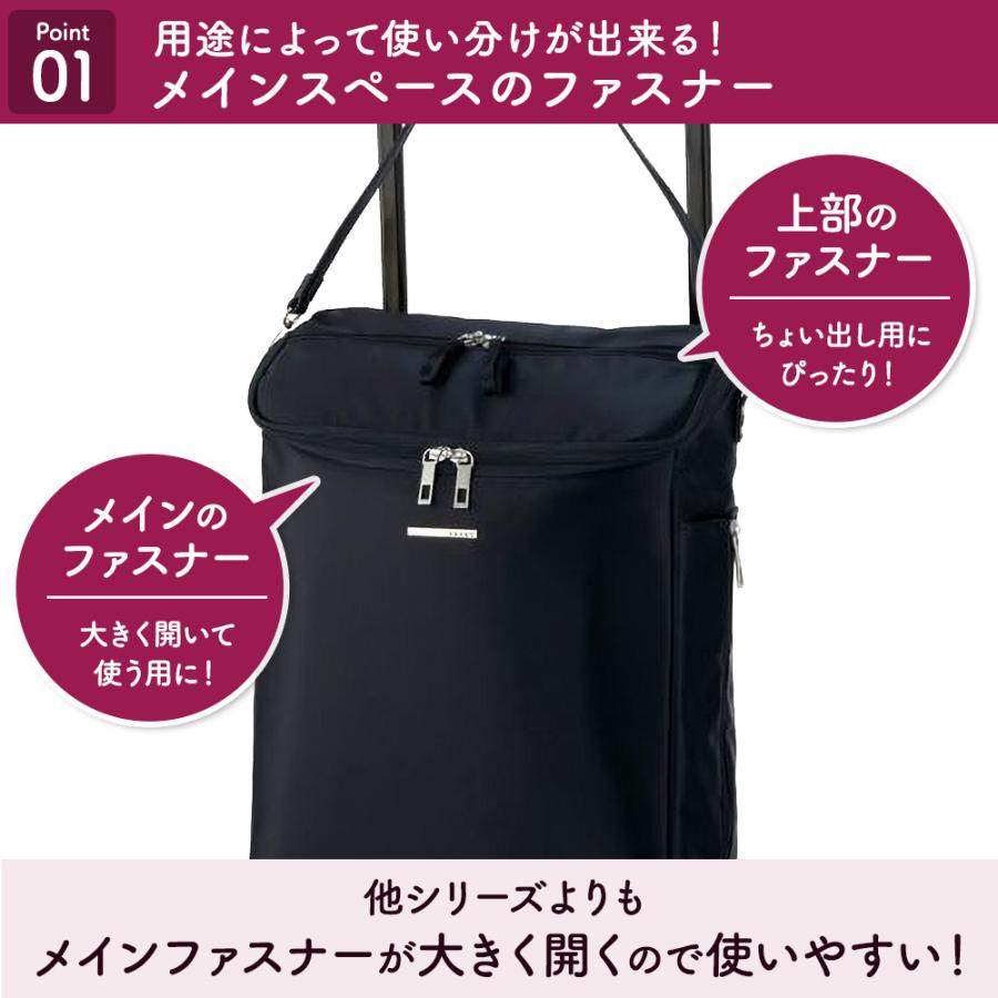 SWANY（スワニー） スワニーキャリーバッグ 高齢者 D-583ジップVII