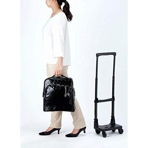 SWANY（スワニー） スワニーキャリーバッグ 高齢者 D-591エマイロVI