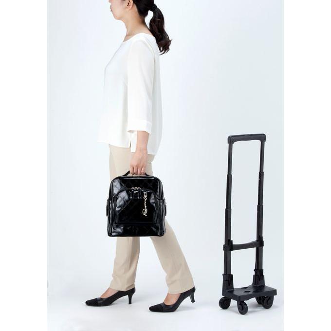 SWANY（スワニー） キャリーバッグ 高齢者 D-591エマイロVI TS15