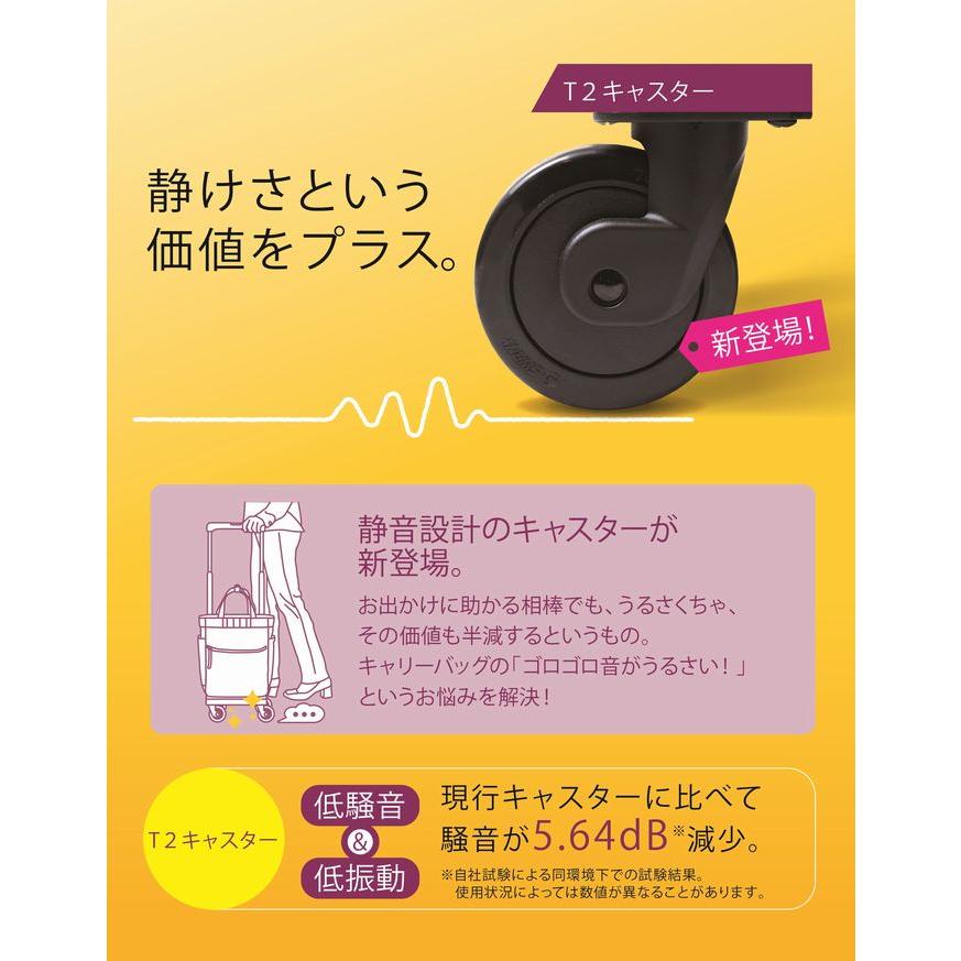スワニー キャリーバッグ 高齢者 父の日 座れる D-639プレーネ L21 座面付 おしゃれ 座る 誕生日 敬老 ギフト 買い物 爆買の画像