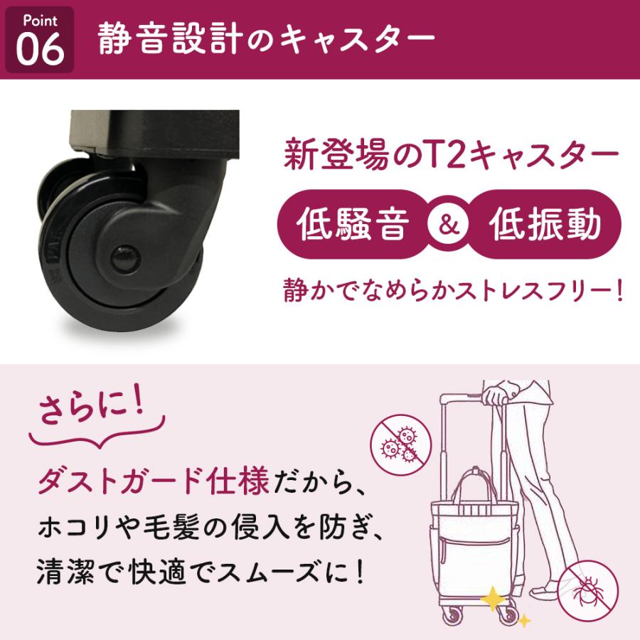 スワニー キャリーバッグ 高齢者 父の日 座れる D-639プレーネ L21 座面付 おしゃれ 座る 誕生日 敬老 ギフト 買い物 爆買の画像