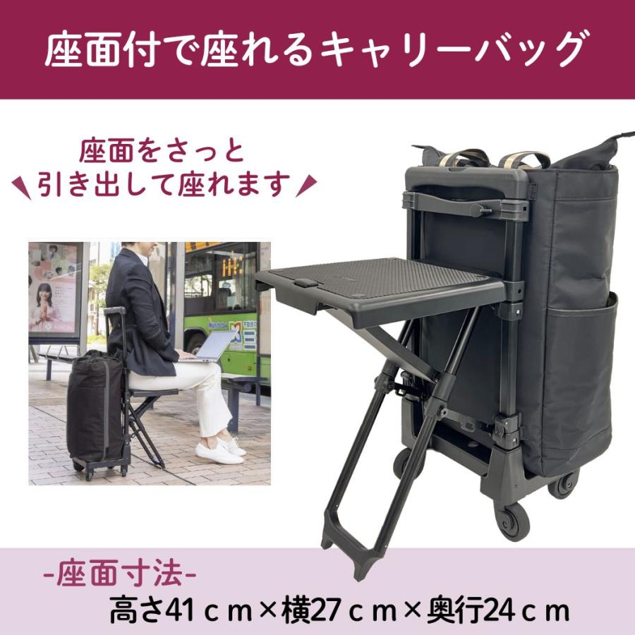◆未使用品◆ スワニー D-630 ポルド イス付 L21 ブラック×ブラック色 D-630 ポルド (L21) ブラック×ブラック <T2キャスター・4輪ストッパー
