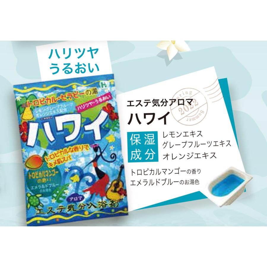 エステ気分 入浴剤 風呂 アソート 個包装 かわいい プレゼント
