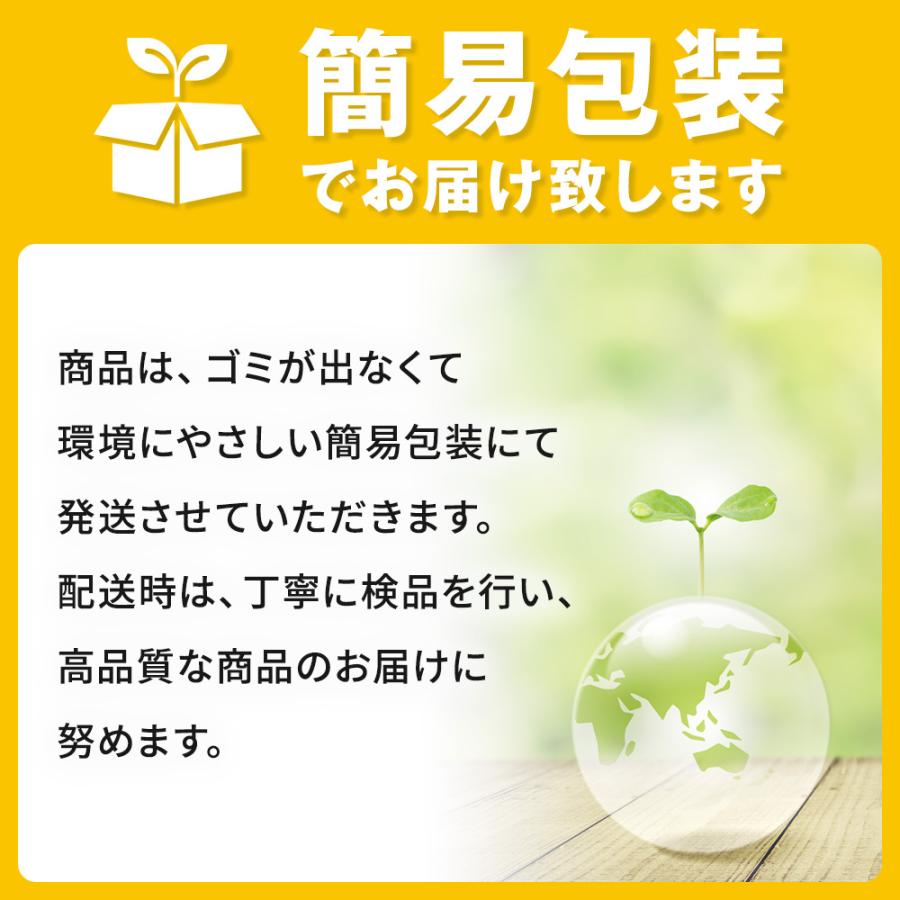 レジオネラ菌 配管洗浄対策 二酸化塩素錠剤 OXIDEN オキシデン 10個入 除菌 業務用 配管洗浄剤 爆買_5