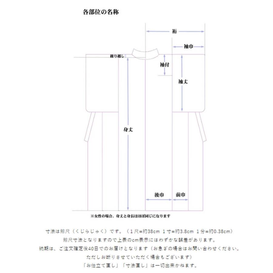 東レシルックきもの 棗（なつめ） 「猫更紗」の画像